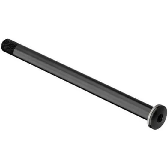 DT Swiss RWS Plug In Foraksel M12 x 100 mm