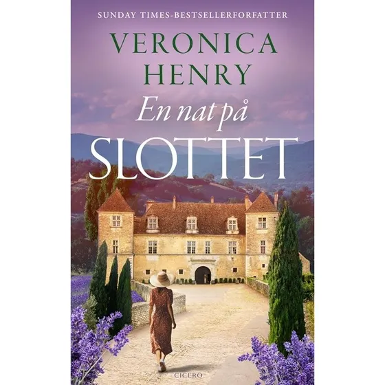 Veronica Henry: En nat på slottet