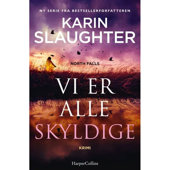 Karin Slaughter - Vi er alle skyldige