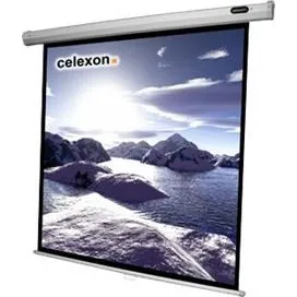 Celexon Economy Manual Screen 111" 1:1
