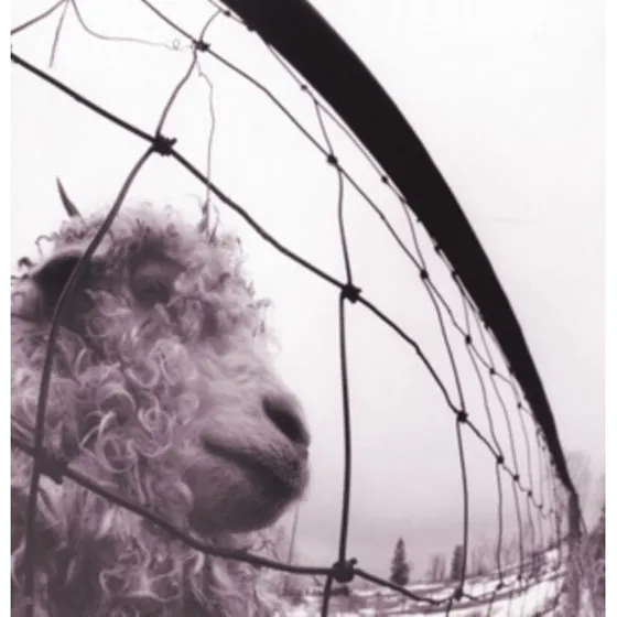 Pearl Jam - Vs. (Remastered) Vinyl LP