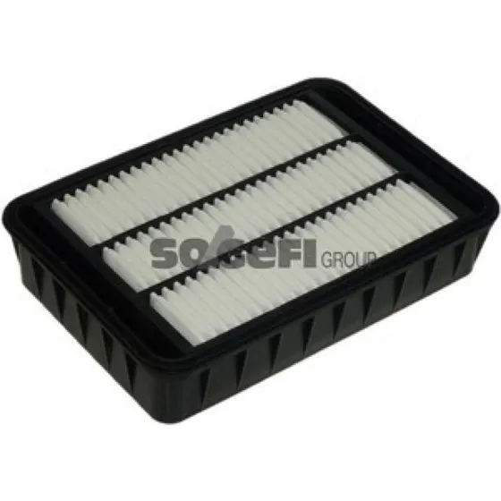 PURFLUX Luftfilter A1294 til PEUGEOT, CITROËN, MITSUBISHI