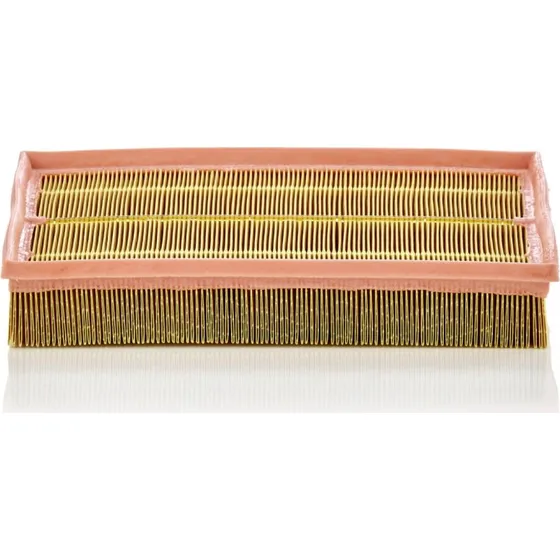 MANN-FILTER C 33 189 Luftfilter