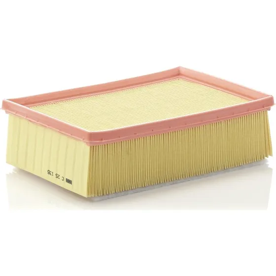 MANN-FILTER C 25 136 Luftfilter