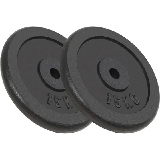 vidaXL Vægtplader 2x15 kg støbejern
