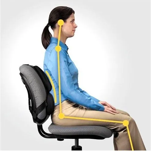 Fellowes ergonomisk rygstøtte, sort