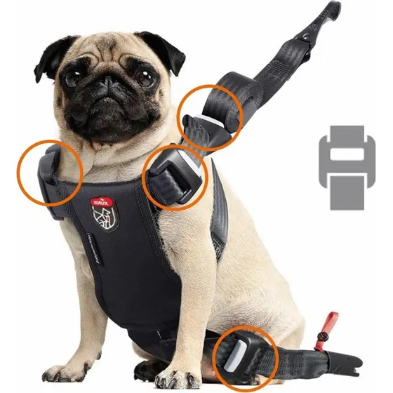 Zolux Travel Safe S Hundesele til Bil, Rød, S