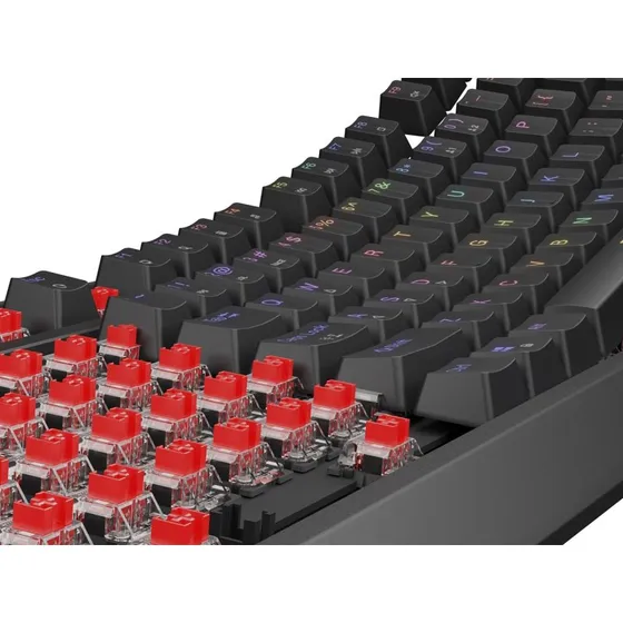 Genesis Thor 230 TKL Mekanisk Gaming Tastatur, RGB, Outemu Red, Trådløs/USB
