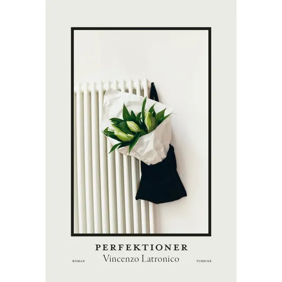Perfektioner - Vincenzo Latronico - Hæftet