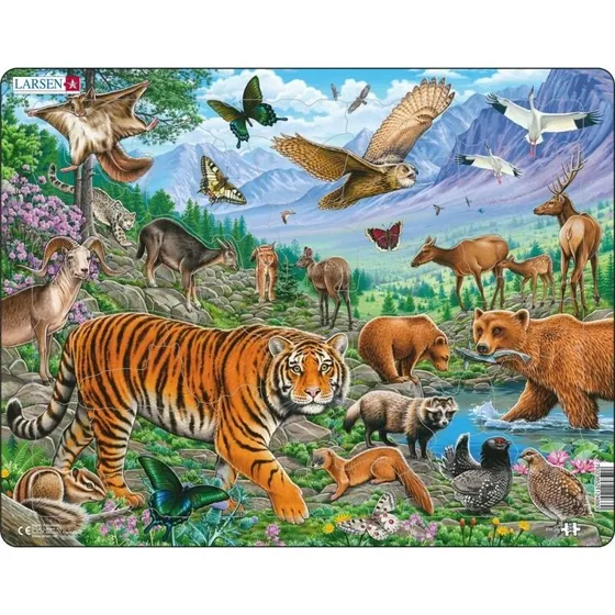 Larsen Puzzles Siberian Tiger Summer - 36 brikker Maxi (36,5x28,5 cm)
