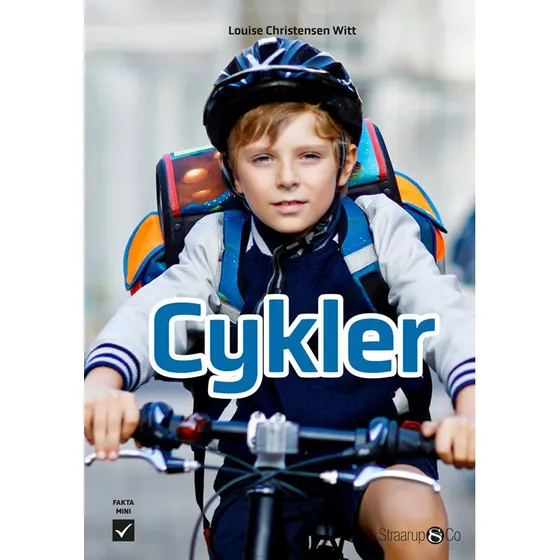 Cykler – Langtur i Danmark med sikkerhed og stil