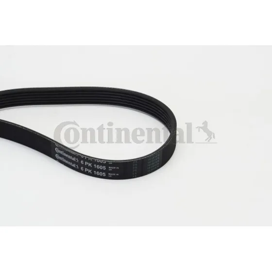 CONTITECH Kilerem 6PK1605, 1605 mm, 6 spore
