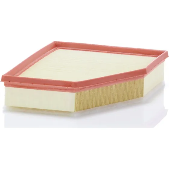 MANN-FILTER C 28 038 Luftfilter