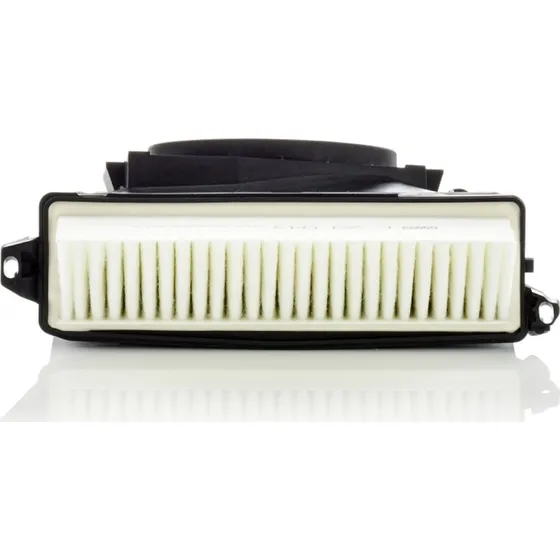 MANN-FILTER Luftfilter C 29 035-2, 6420942304