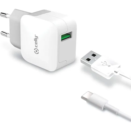 Anker USB-C 2,4A Oplader med USB-C-kabel