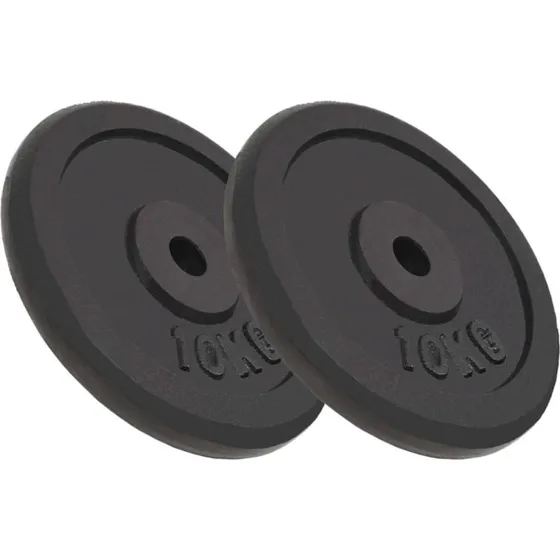 vidaXL Vægtskiver 2x10 kg, støbejern, sort