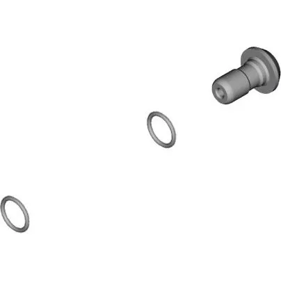 Shimano XT/SLX Banjo Bolt & O-Ring til BR-M8100