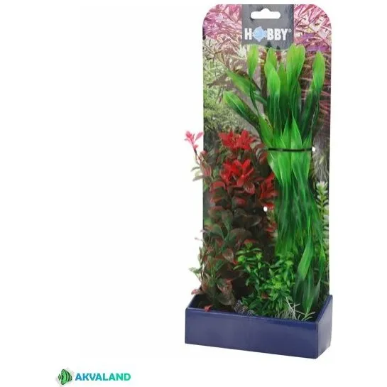 Plantasy Akvarie Plantesæt 2 – Vallisneria, Ludwigia, Lagarosiphon