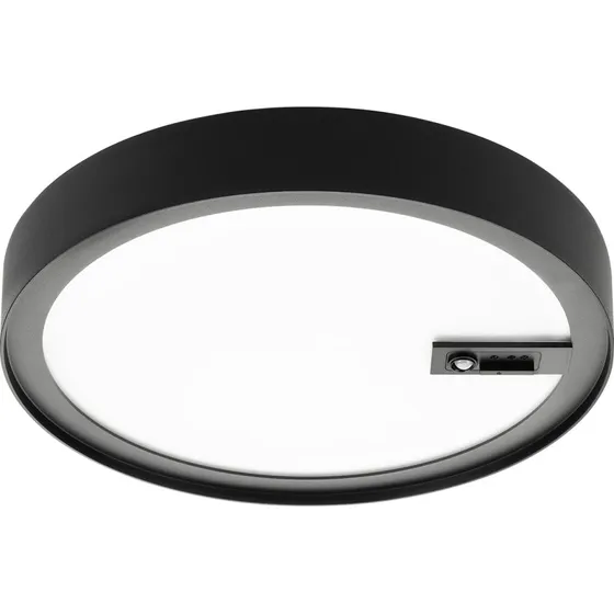 Disc 290 Connect Sort 3000K