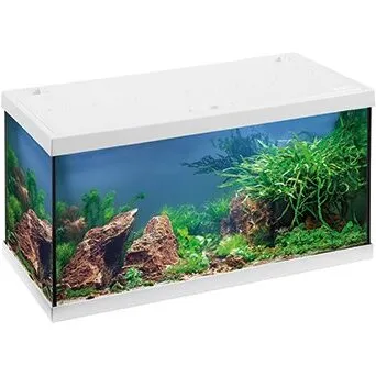 EHEIM Aquastar 54 LED akvarium 54 L hvid (61×31×32 cm)