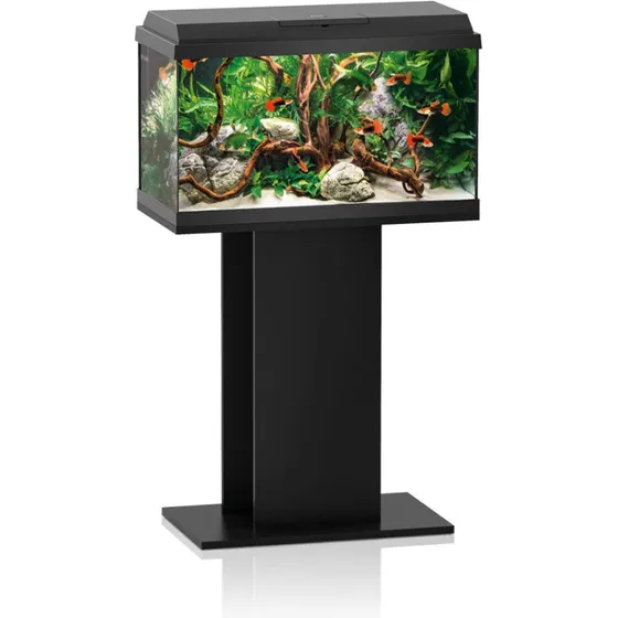 REKORD 600 Stand SB - Black (60/50)