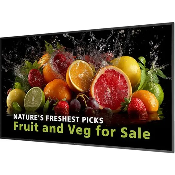 Philips 65BDL5050D 65" 4K UHD Digital Signage Skærm