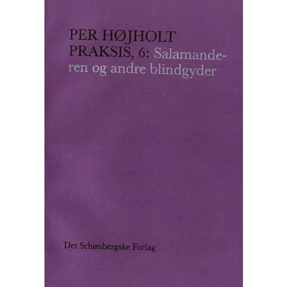 Praksis, 6: Salamanderen og andre blindgyder