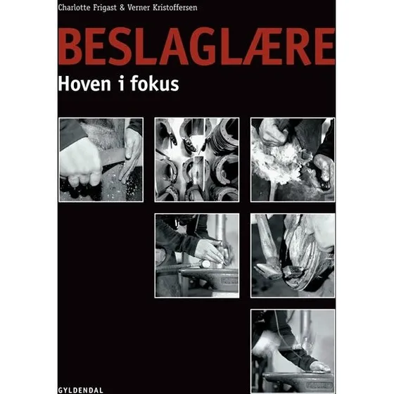 Beslaglære - Verner Kristoffersen