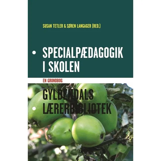 Specialpædagogik i skolen - Susan Tetler