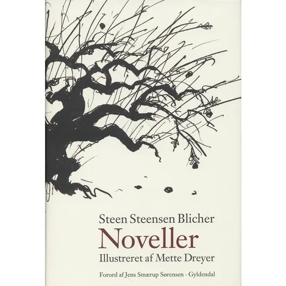 Noveller - Steen Steensen Blicher