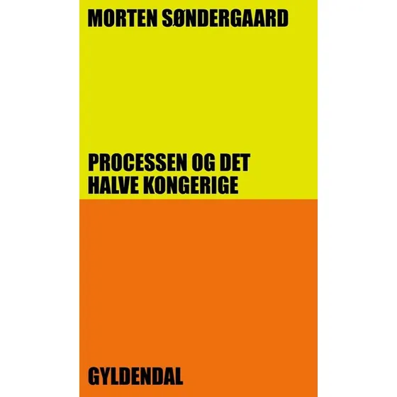 Morten Søndergaard: Processen og det halve kongerige