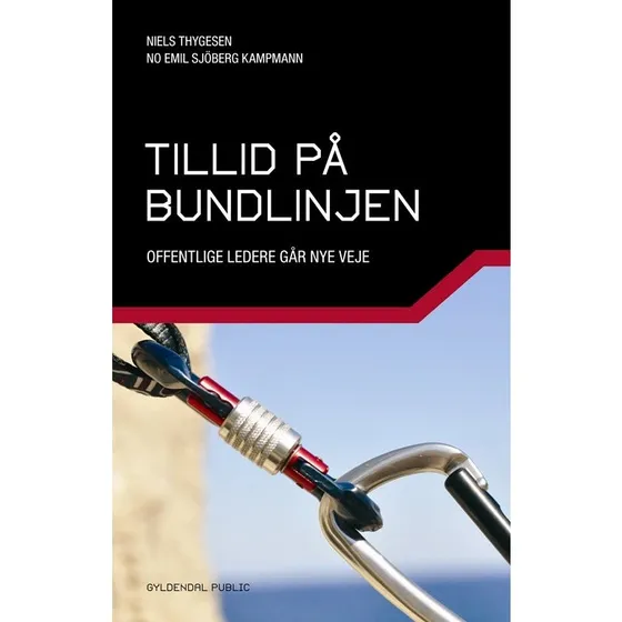 Niels Thygesen: Tillid på bundlinjen