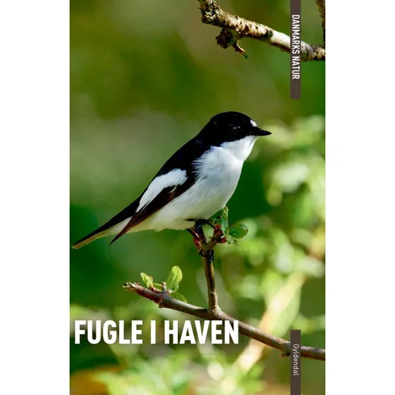 Danmarks Natur Fugle i haven – Benny Génsbøl