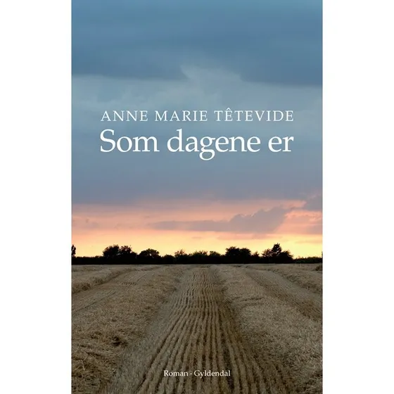 Anne Marie Têtevide: Som Dagene Er