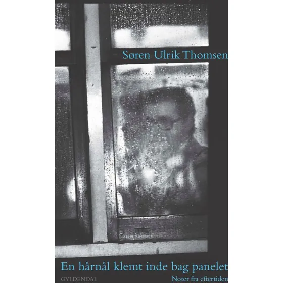 Søren Ulrik Thomsen: En hårnål klemt inde bag panelet