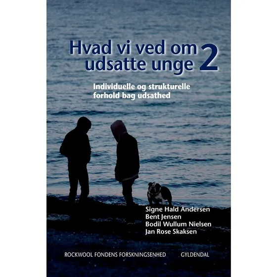 Signe Hald Andersen: Hvad vi ved om udsatte unge 2