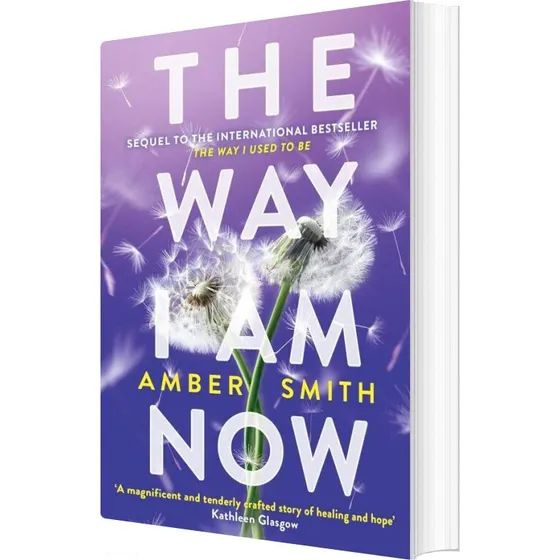 Amber Smith - The Way I Am Now