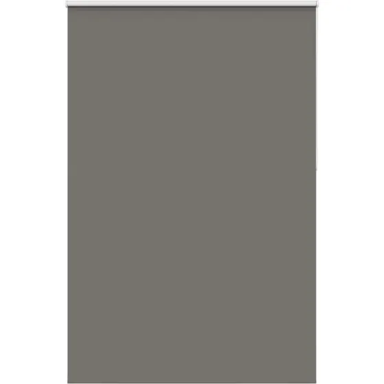 vidaXL Rullegardin Mørklægning 145x210 cm Grå 141,6 cm Bredde