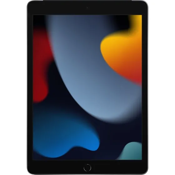 Apple iPad 10,2" Wi-Fi + Cellular 64 GB Grå (9. gen) - Renvoveret