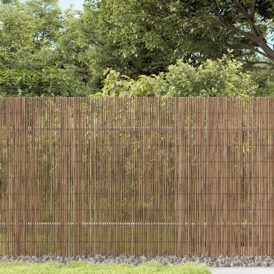 vidaXL Sivhegn 300x90 cm – Naturlig haveafskærmning