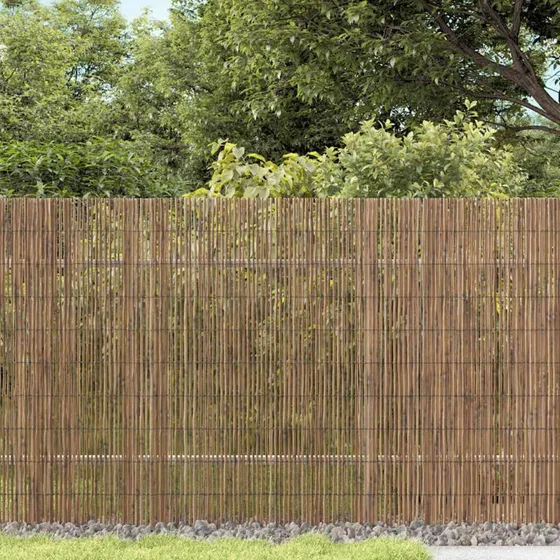 vidaXL Havehegn Naturfarvet 500 × 160 cm