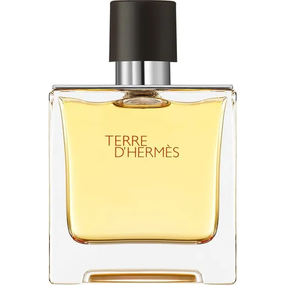 Hermes Terre d'Hermès Pure Parfum 75 ml