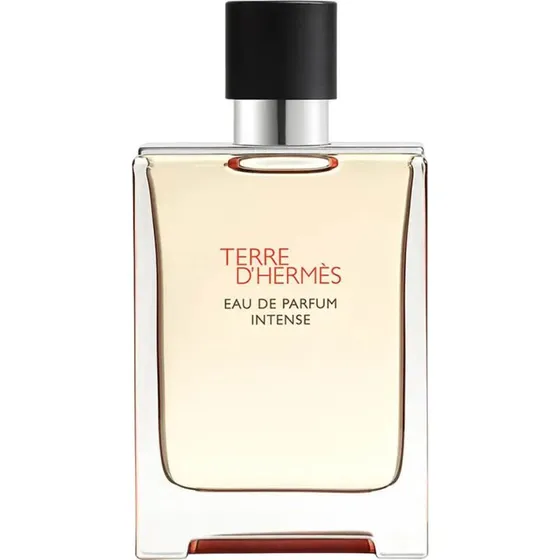 Hermès Terre d'Hermès Eau de Parfum Intense 100 ml