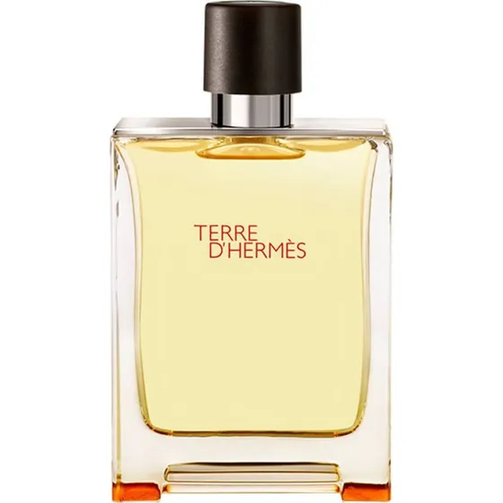 Hermes Terre d'Hermes EDT 100 ml