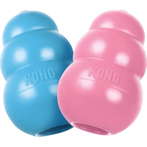 KONG Puppy Large, Assortede Farver
