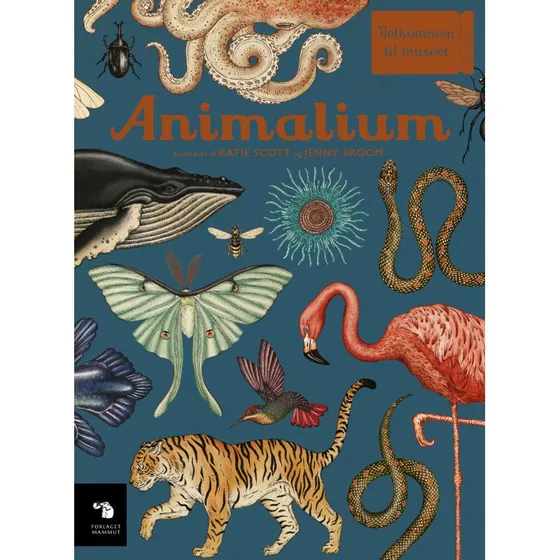 Animalium – Verdens smukkeste børnebog om dyr