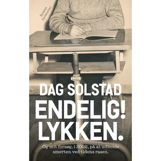 Dag Solstad: Endelig! Lykken - Hæftet
