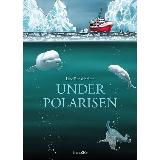 Under polarisen - Line Renslebråten