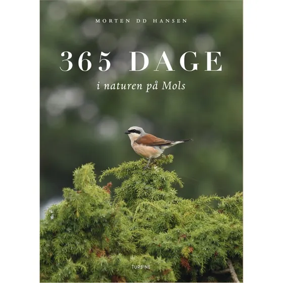 Morten DD: 365 dage i naturen på Mols