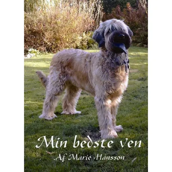 Min Bedste Ven - Maria Hansson